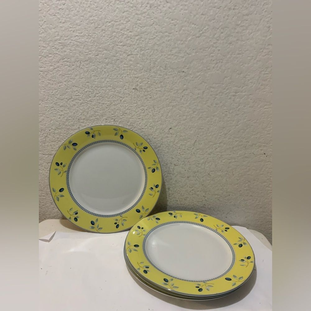 Set of 4 Royal Doulton blueberry 10.25" Dinner Plates